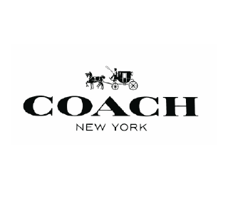 coach Bild fehlt
